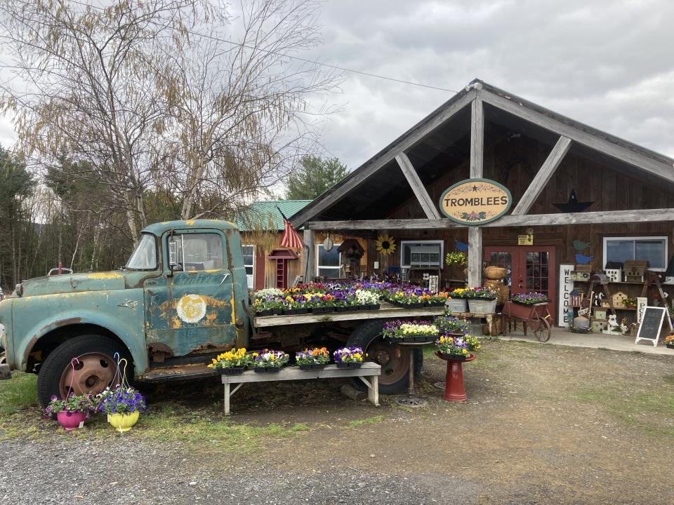 A rusted antique pickup truck serves as a display for brightly colored flowers, in front of a rustic shop.