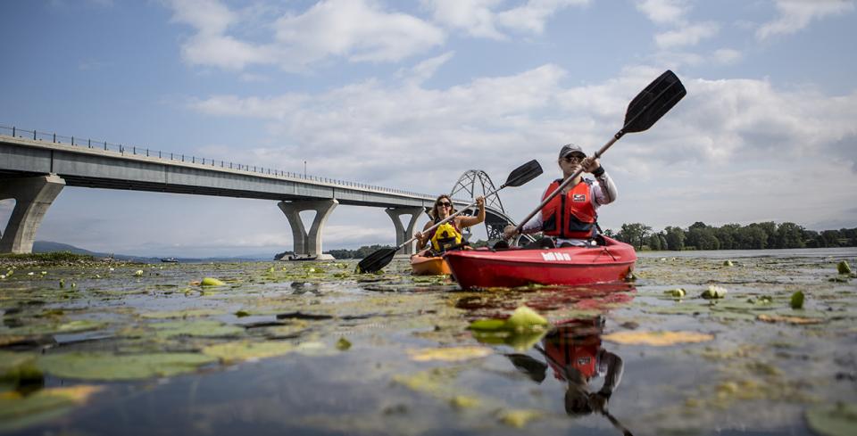 Two kayakers paddle among water lilies in Bulwagga Bay