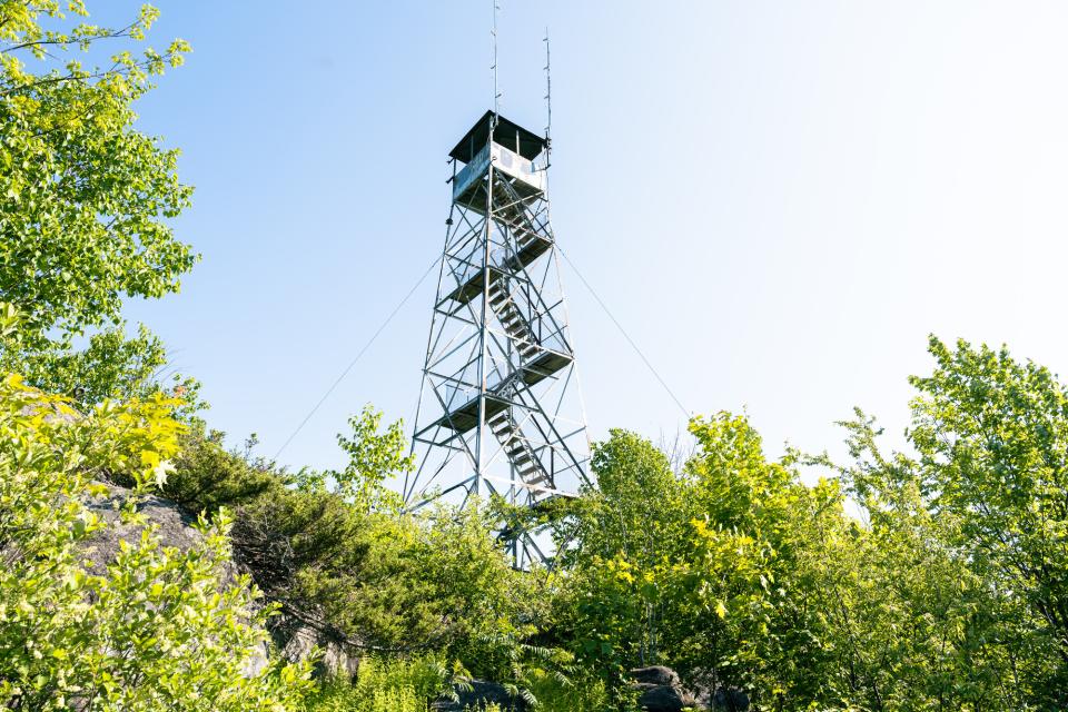 A steel firetower rises from the green forest