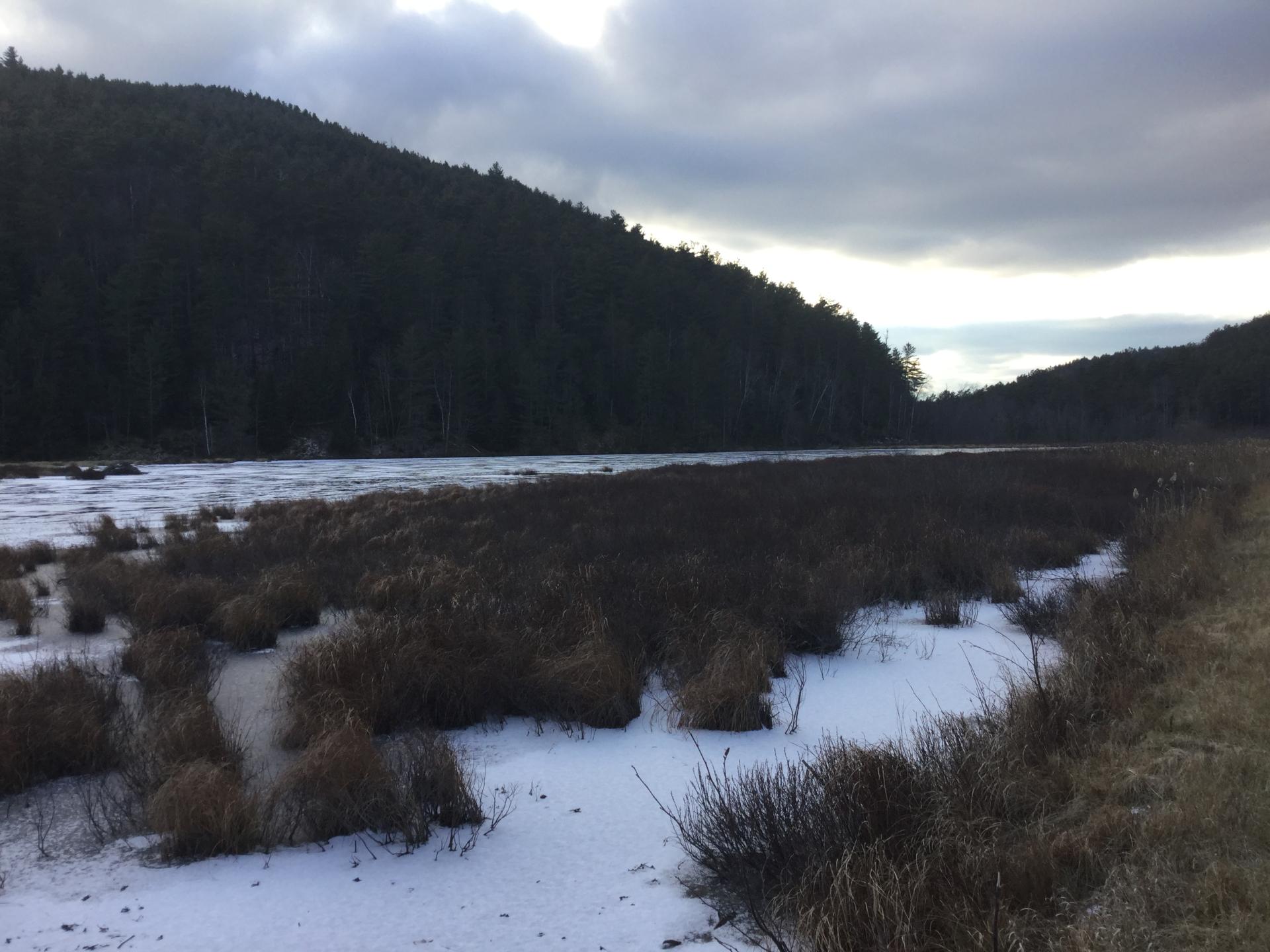 These wetlands in the Hammond Pond Wild Forest are an important part of the Adirondacks ecosystem.