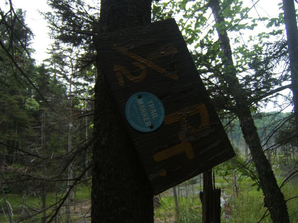 Look for these disks to stay on the trail.