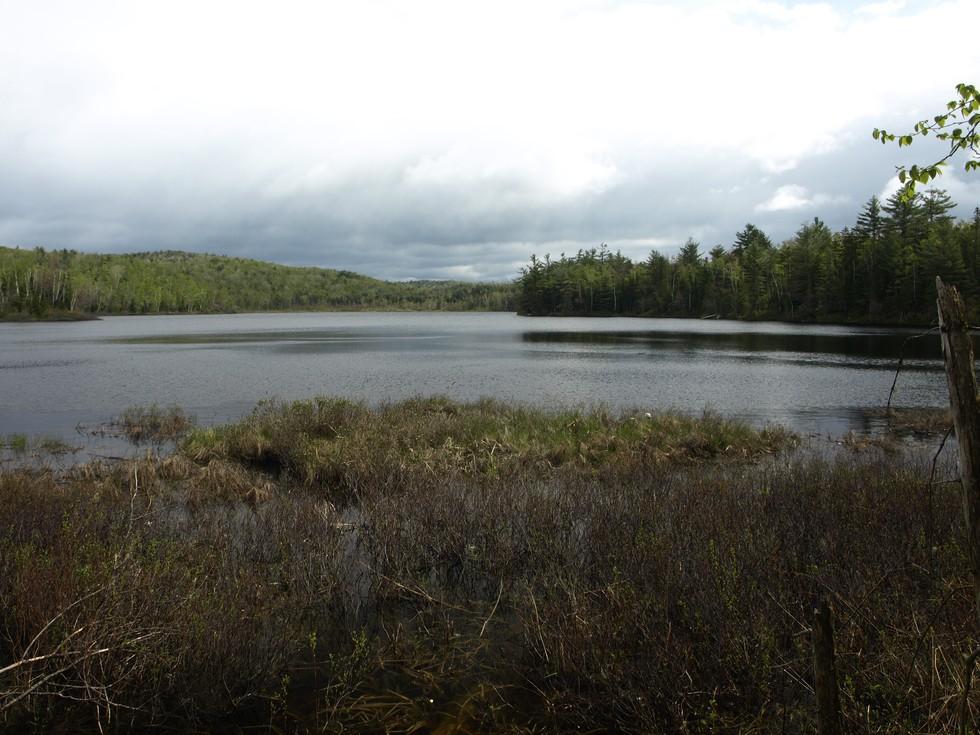Tanaher Pond is a quiet spot perfect for paddling or fishing.