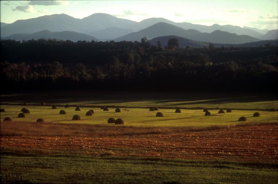 Mountains behind a large field
