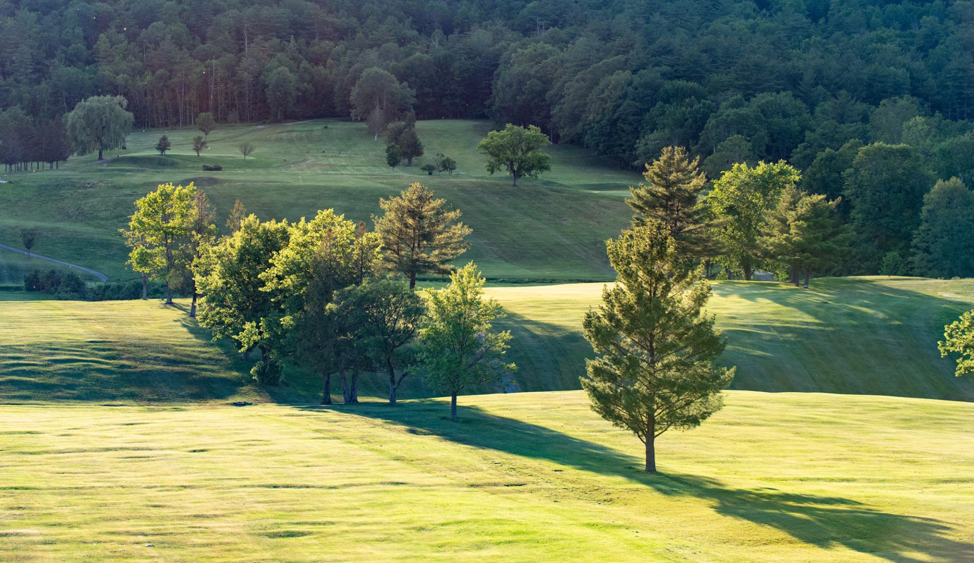 View of Ticonderoga Golf Course landscape 