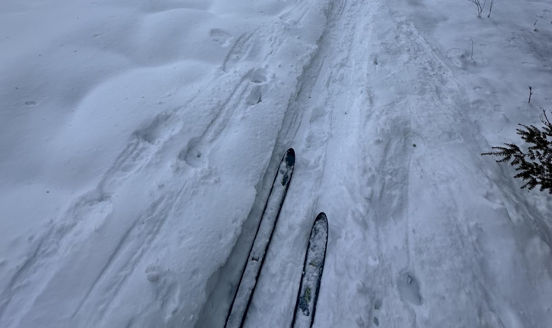 Skiing on Benny's Trail