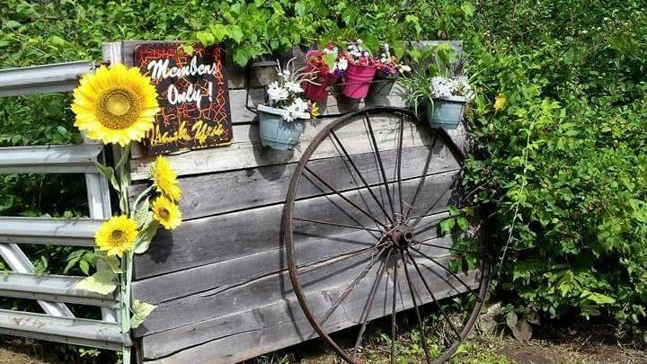 A wooden fence with flower planters hanging from the top with a sign reading members only