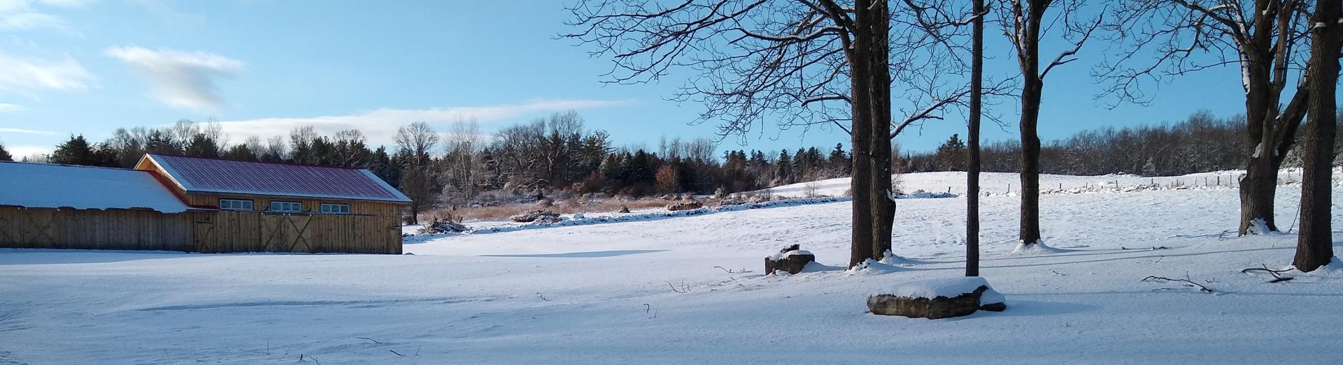 A field covered in snow