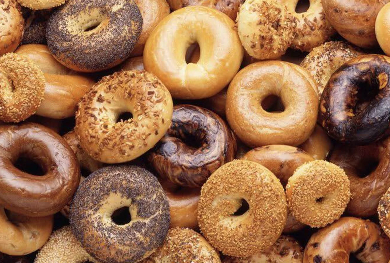 Bagels of various types in a delicious pile.