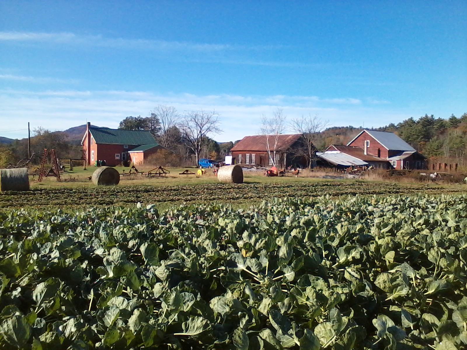 view of the farm and buildings