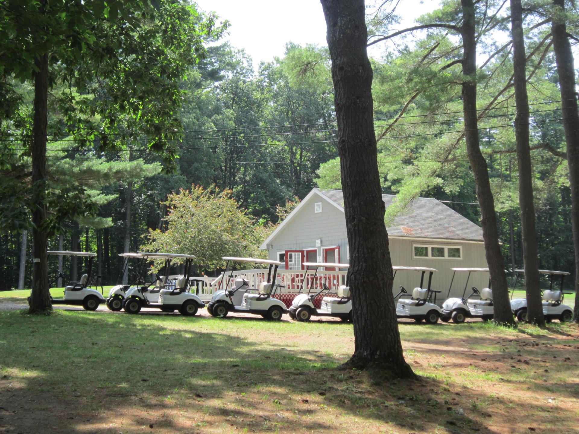 Many golf carts sit in a line at the Willsboro Golf Course.