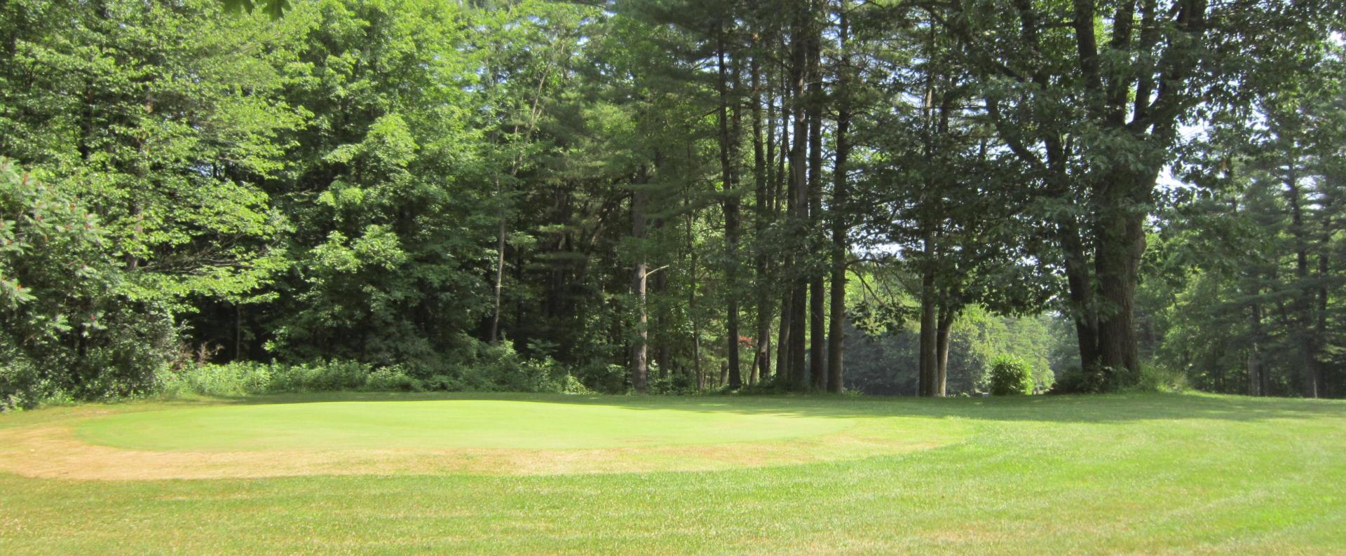 A perfectly groomed green.