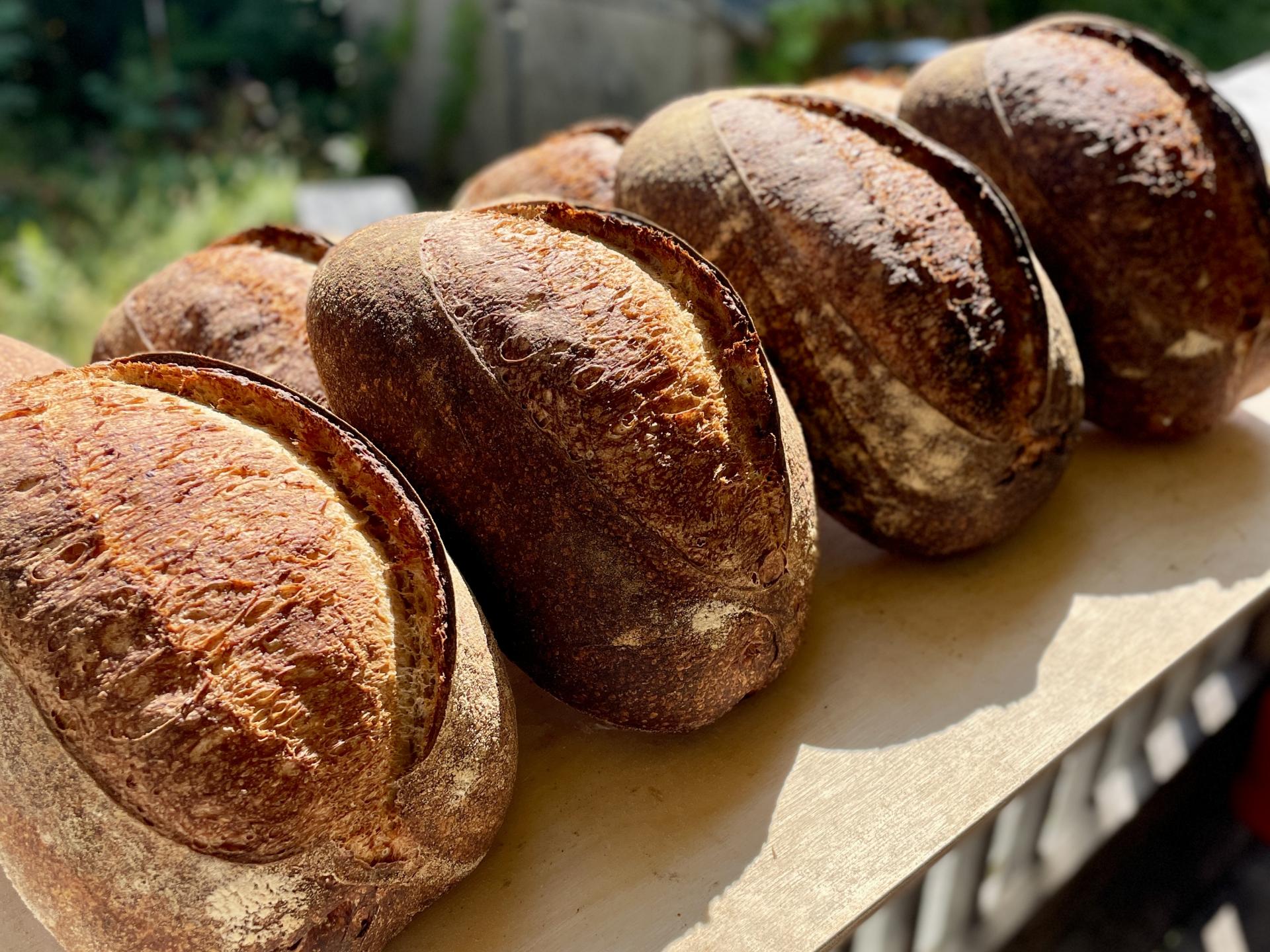 bread