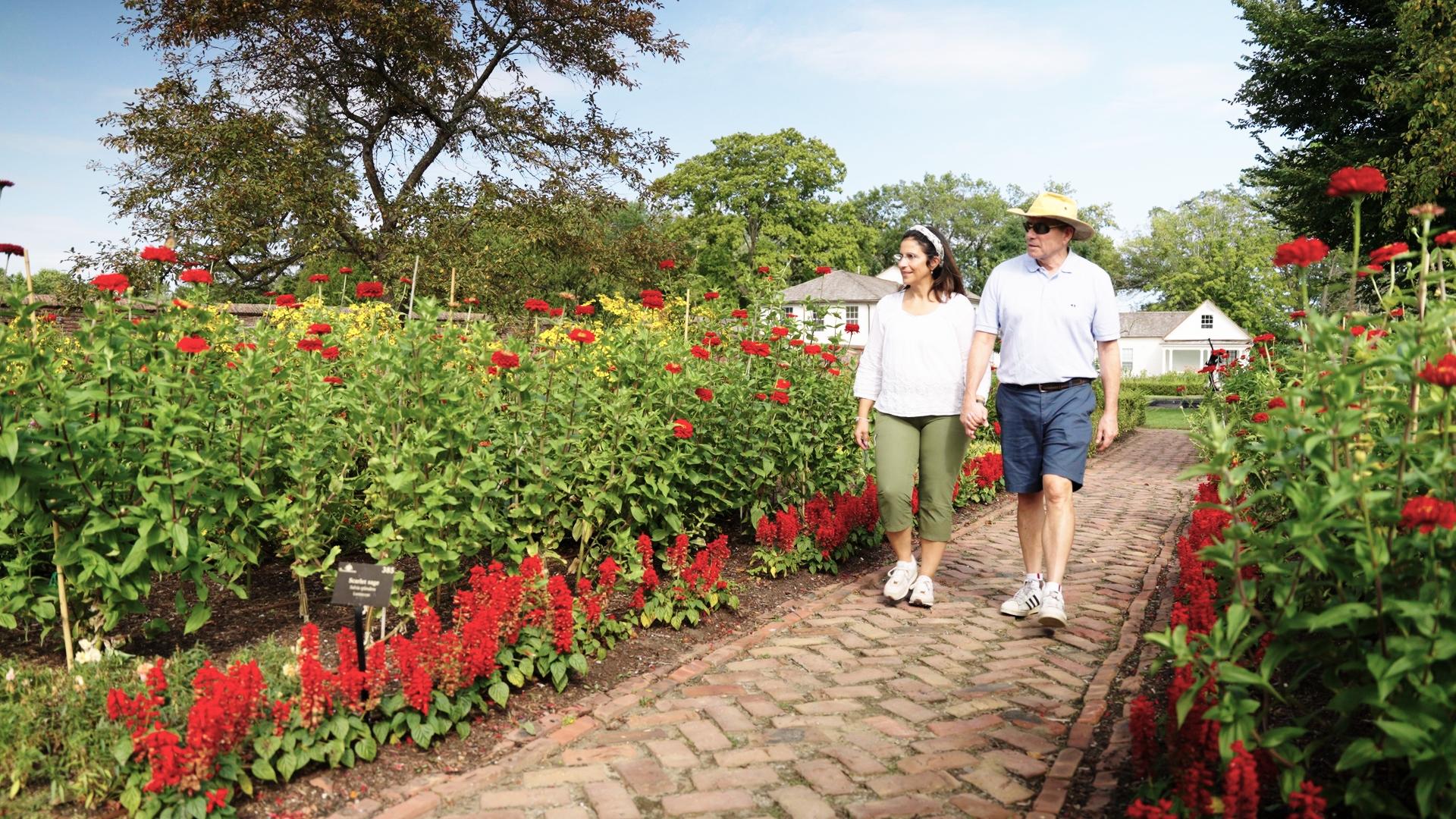 A couple holds hands while they walk down a brick path linked with red salvia and zinnias near as tall as the people.