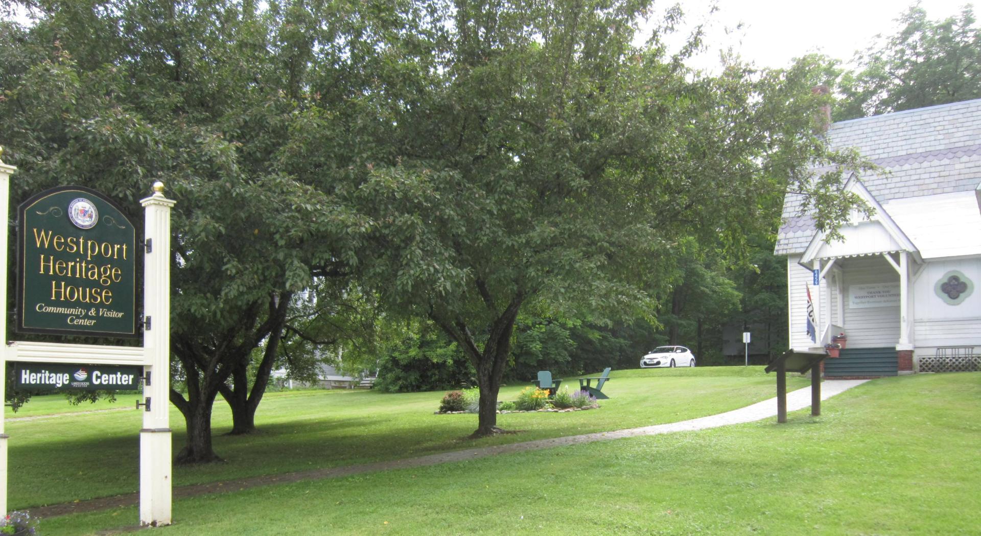 WHH lawn and tree