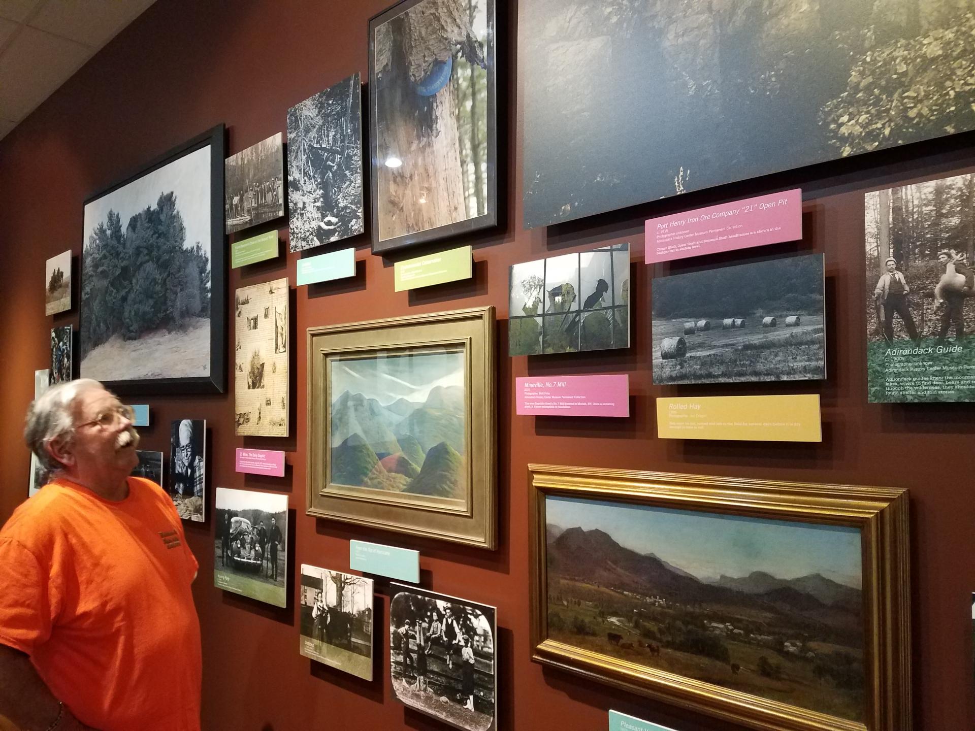 Images with description cards hung on walls.