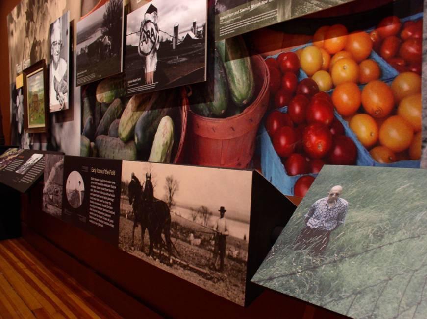 Images with description cards hung on walls.