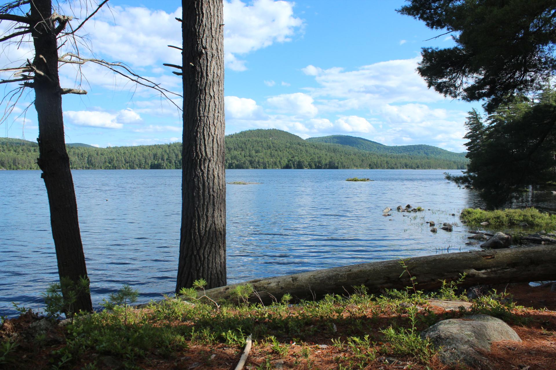 The Pharaoh Lake Wilderness Area is known for pristine wilderness views.