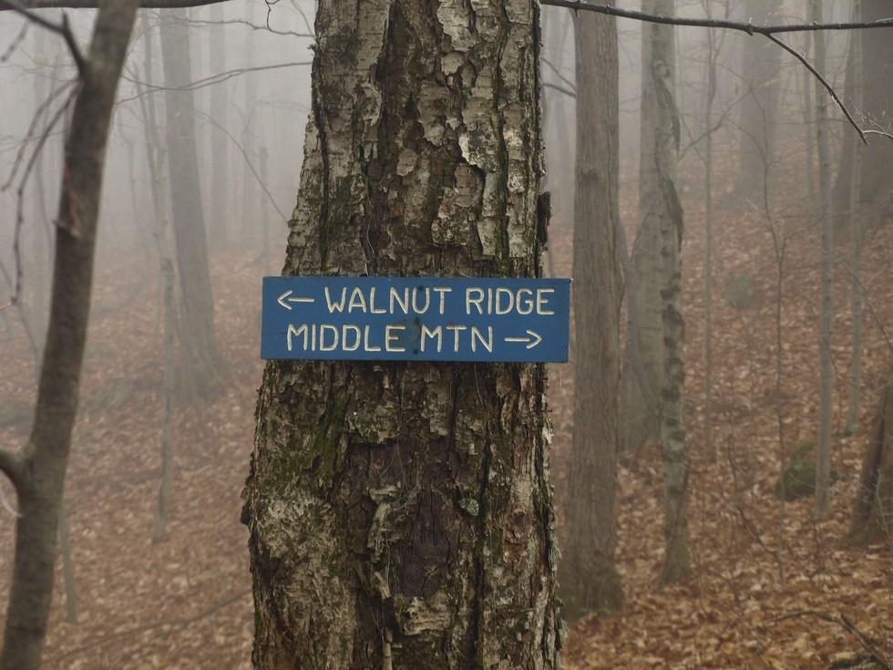 A blue sign on a tree for hiking destinations in the Pole Hill Pond Preserve.