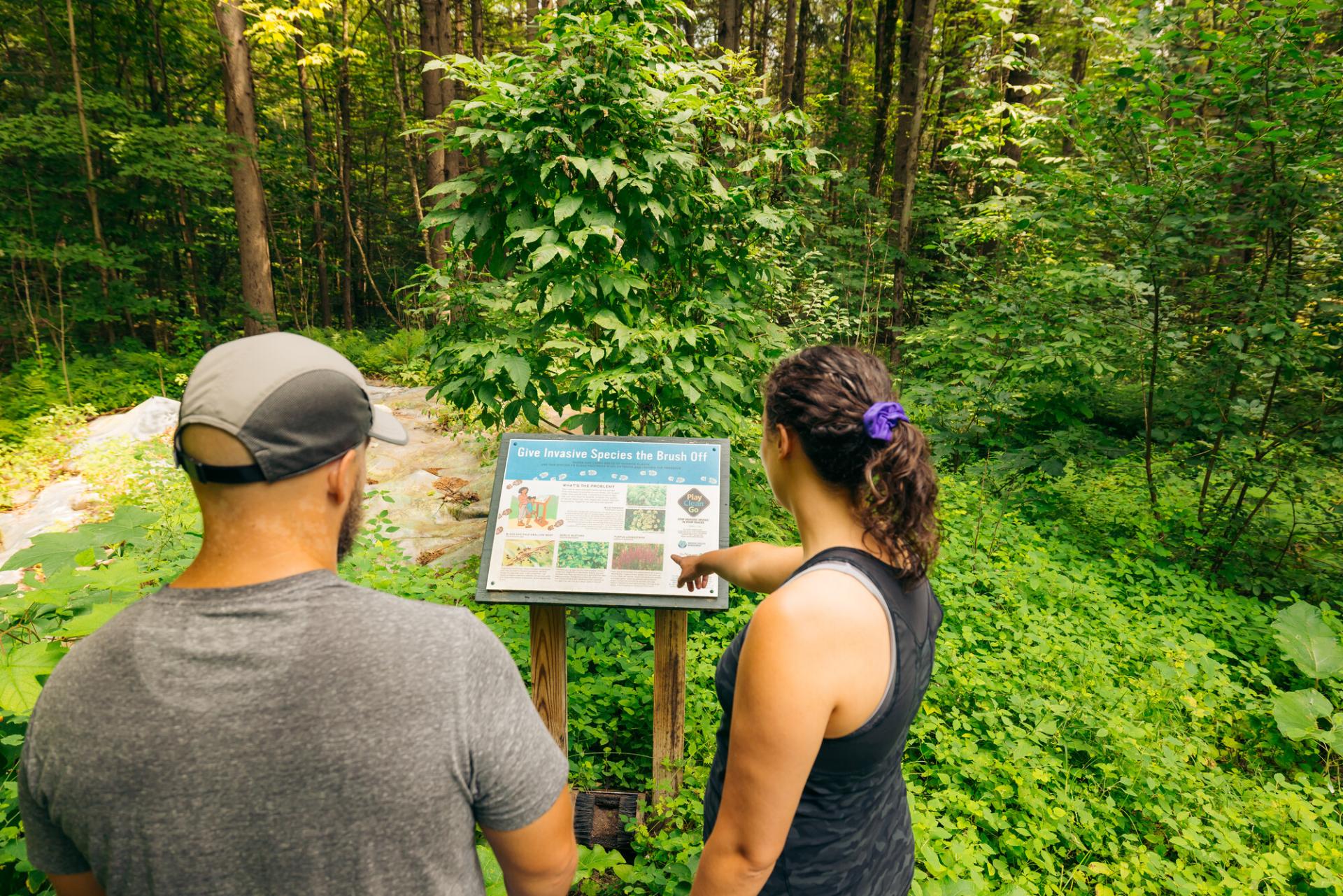 A couple looks at an interpretive sign next to a trail