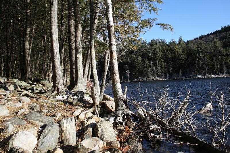 Hike to Grizzle Ocean on this fun loop.
