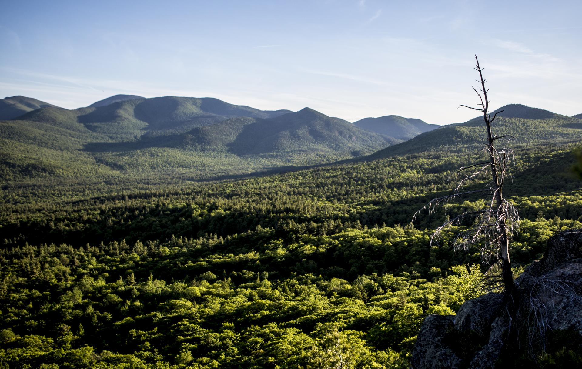 Wonderful views of the Giant Mountain Wilderness.