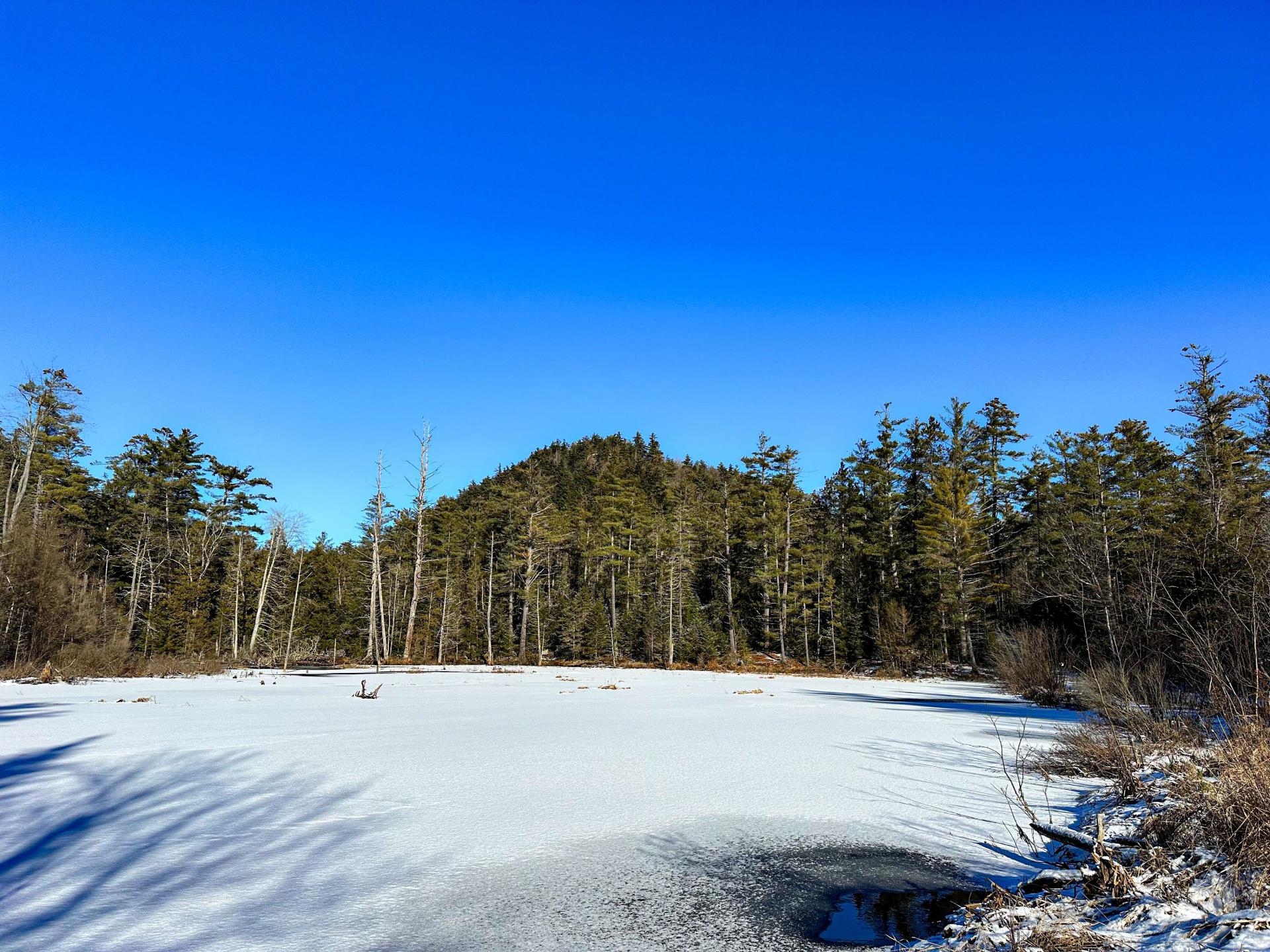 A beaver wetland in winter
