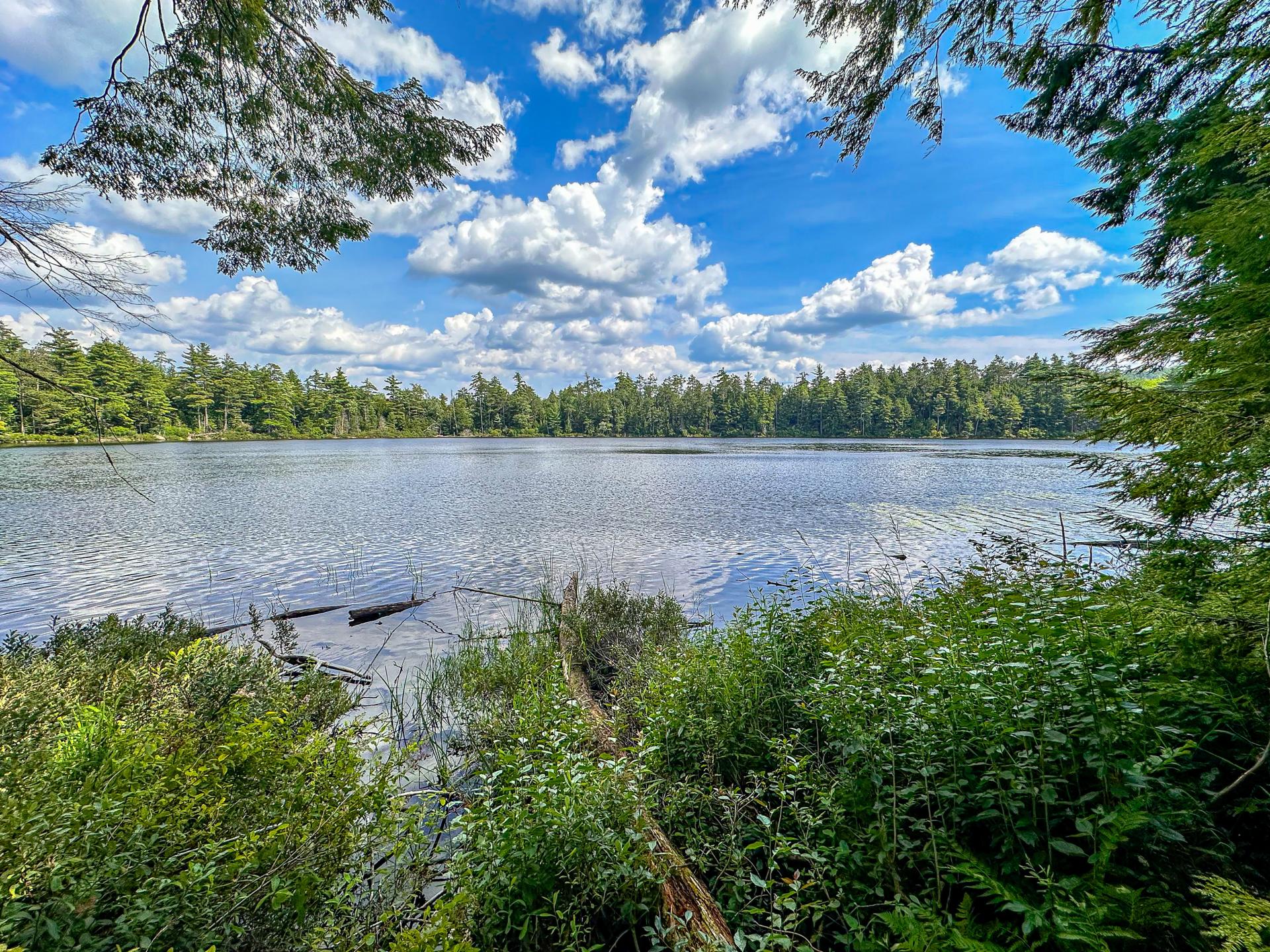 Clear Pond