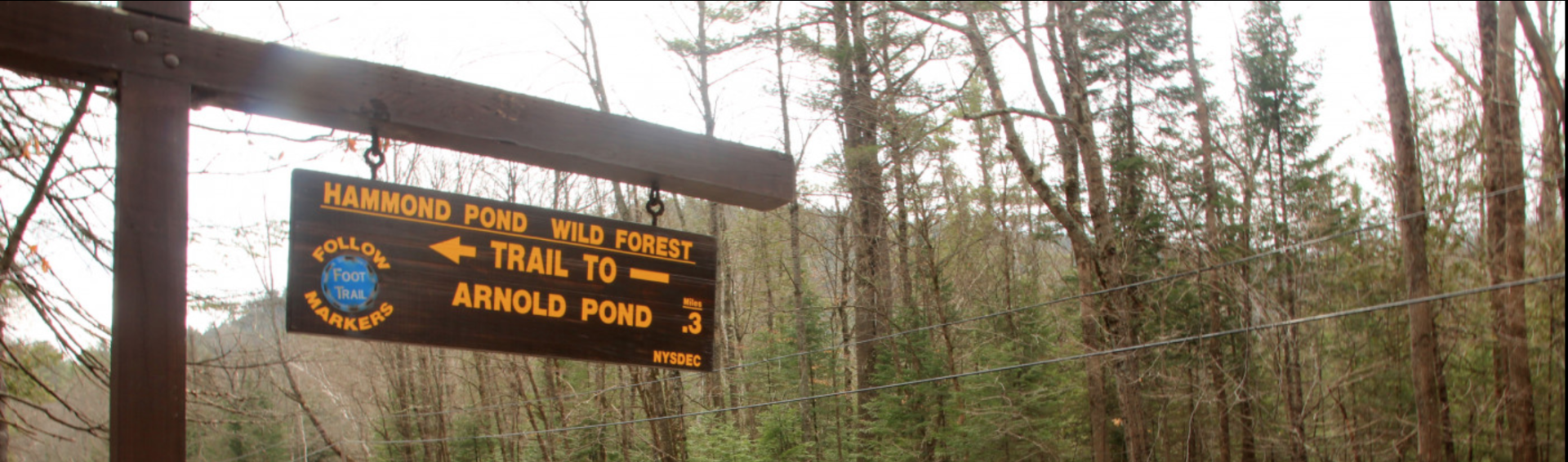 A yellow and brown sign for Arnold Pond