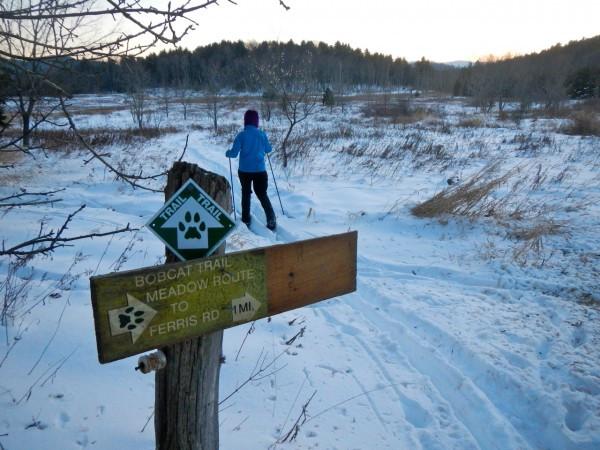 XC skiing the Bobcat Trail