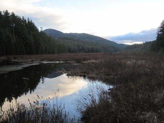 Berrymill Pond is a scenic destination.