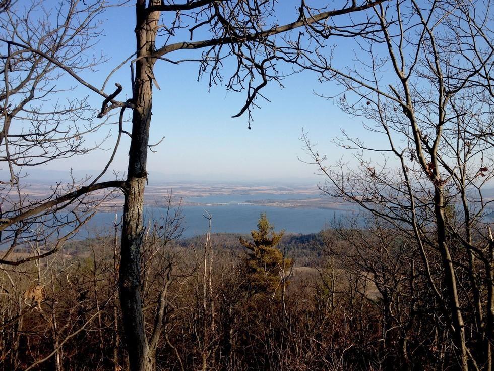 The view through trees of a lake