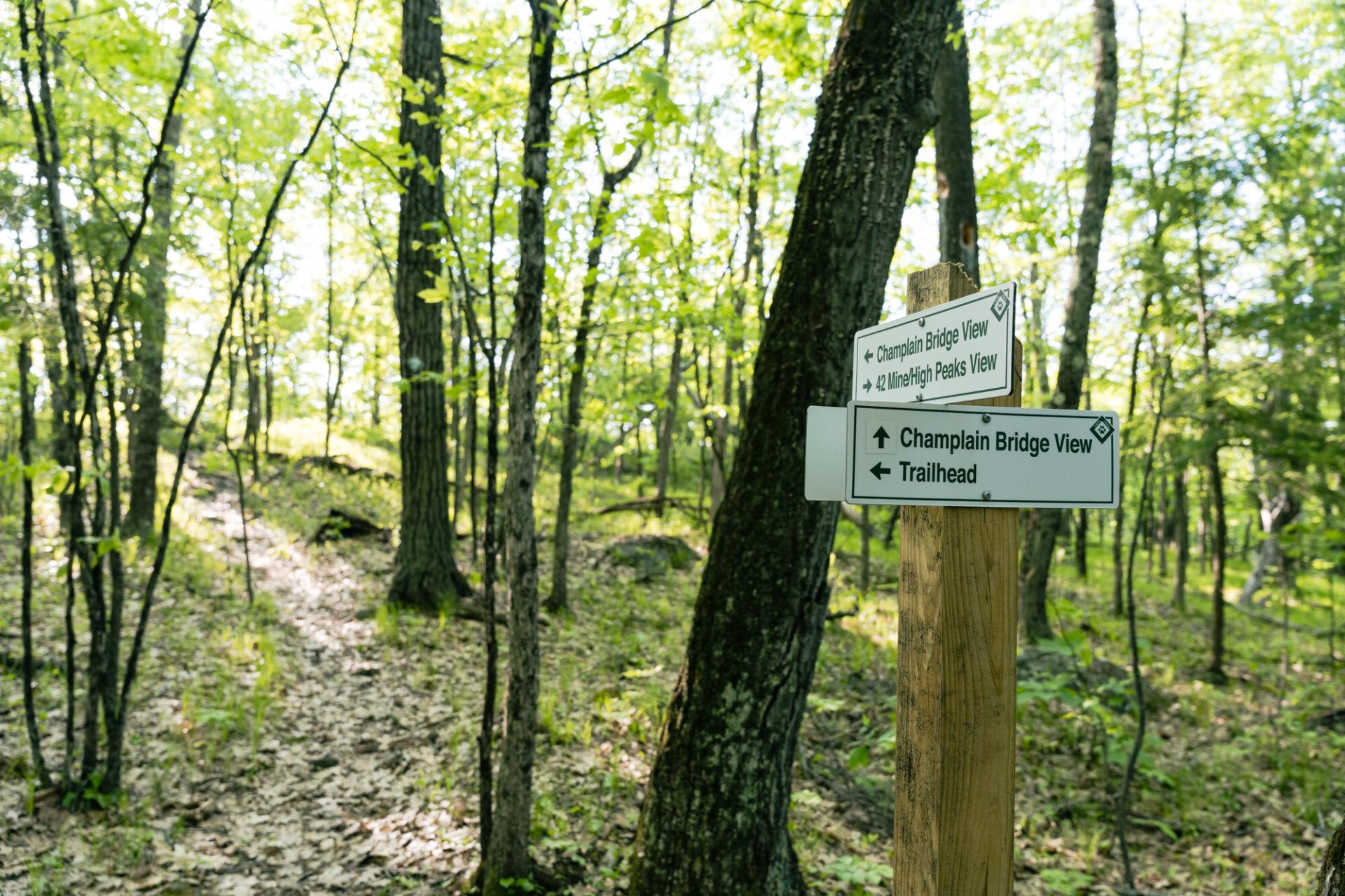 A sign post with signs for trails