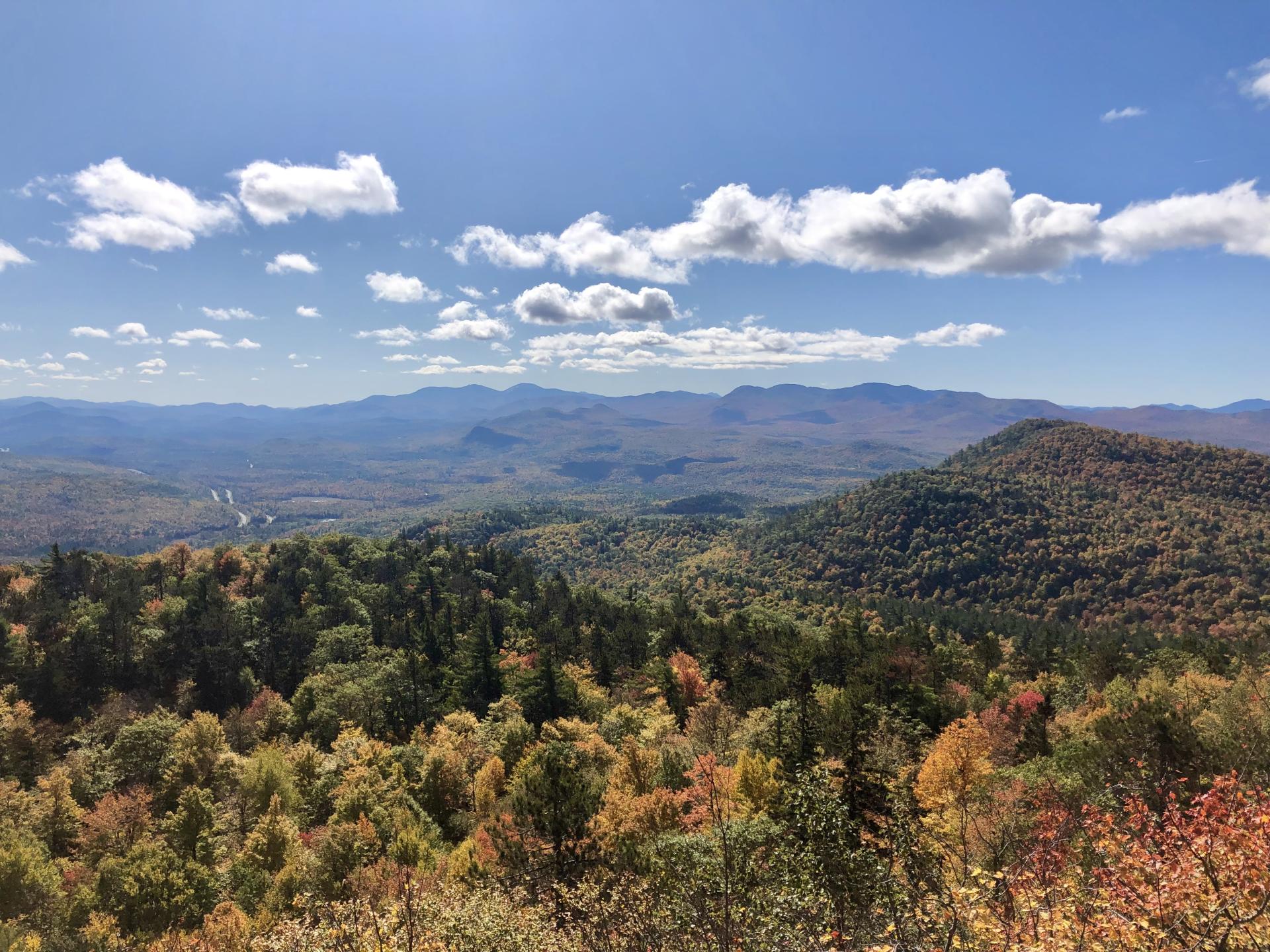 A fall view of colorful trees