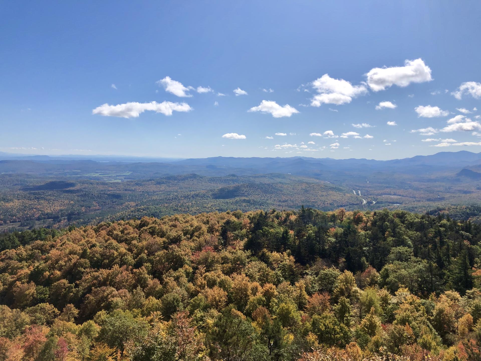 A view of a colorful autumn forest