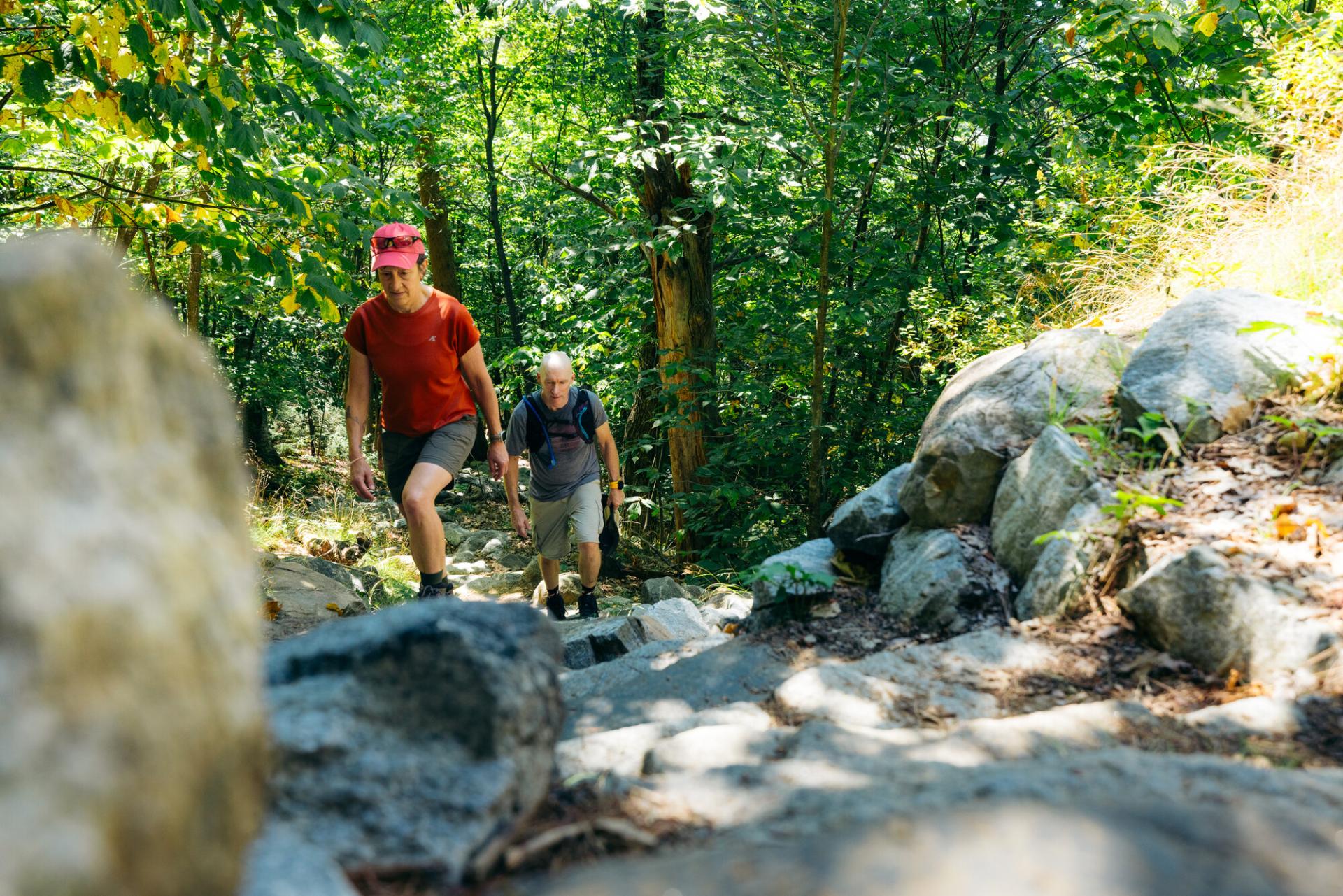 hikers walking up a trail