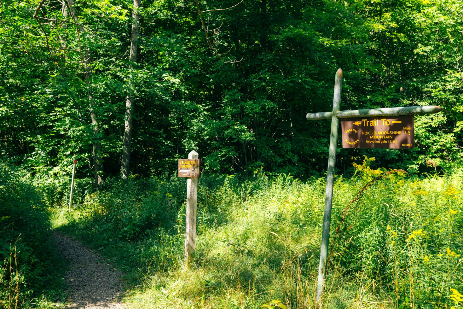 Signs for a fire tower hike