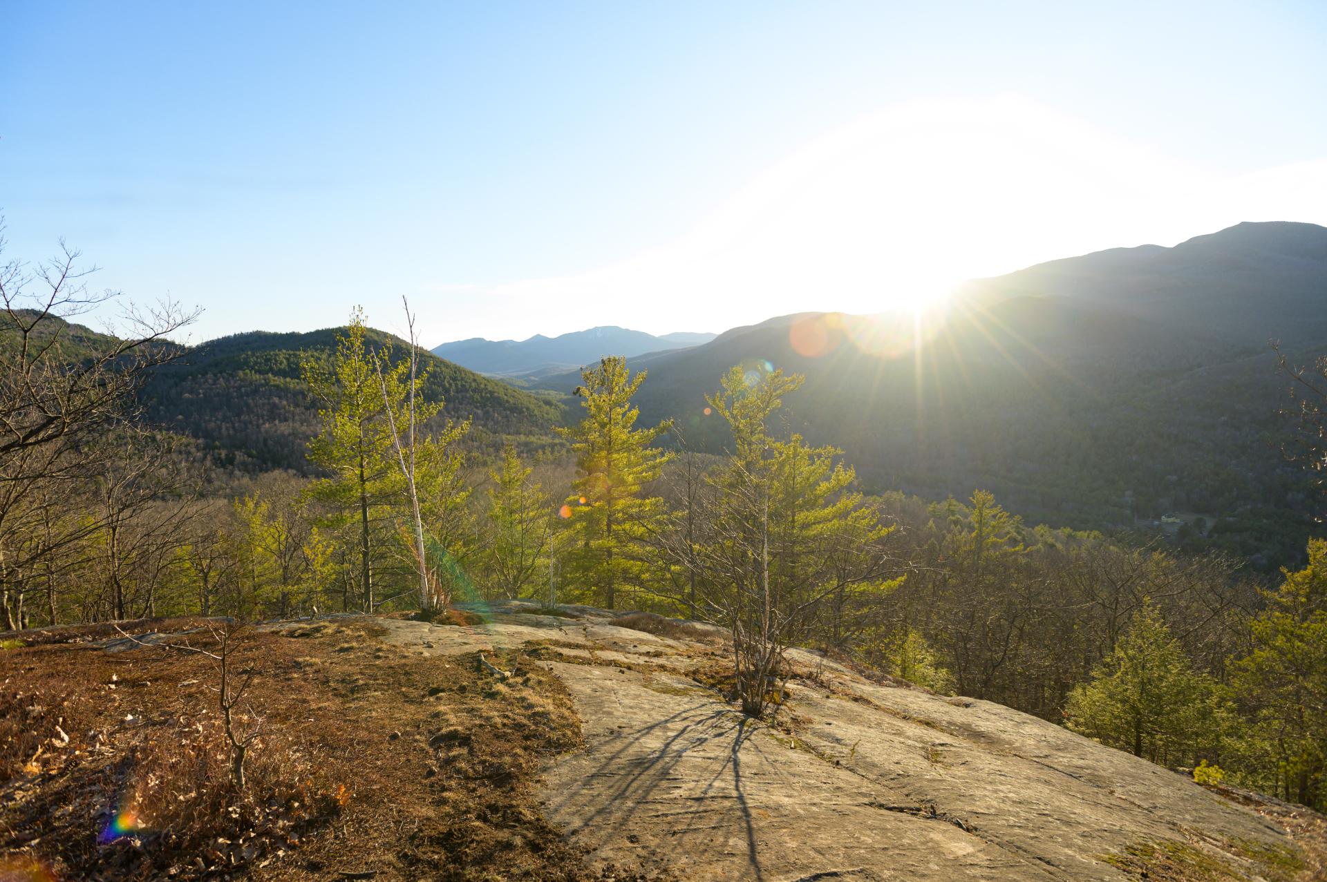 A sunny view from Mount Gilligan