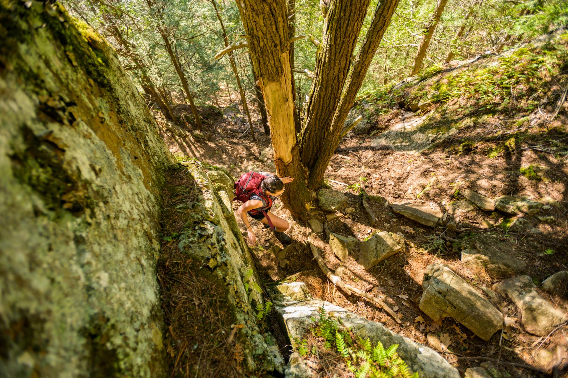 A hiker going up the steep trail on Mount Gilligan