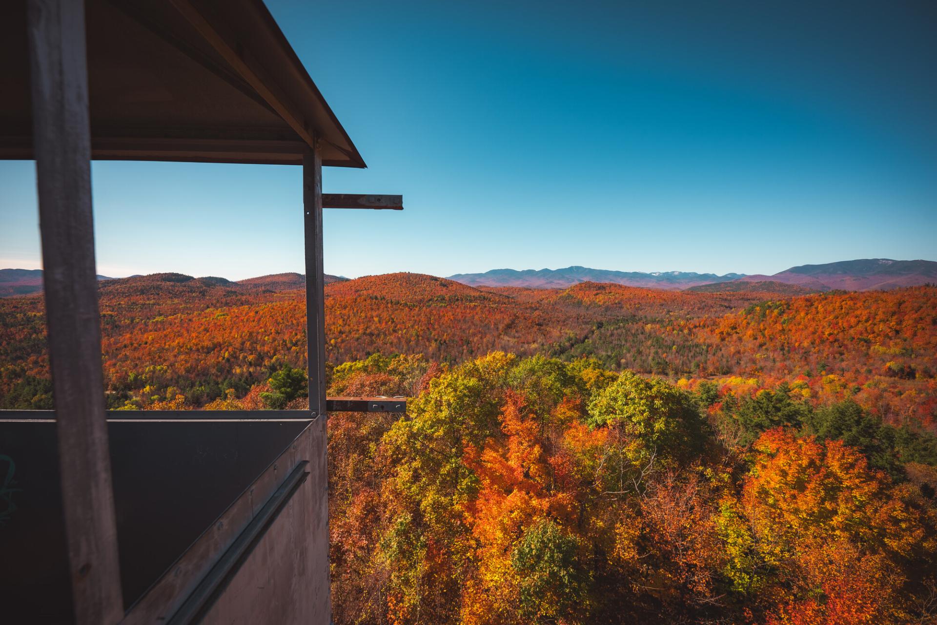 View from a fire tower