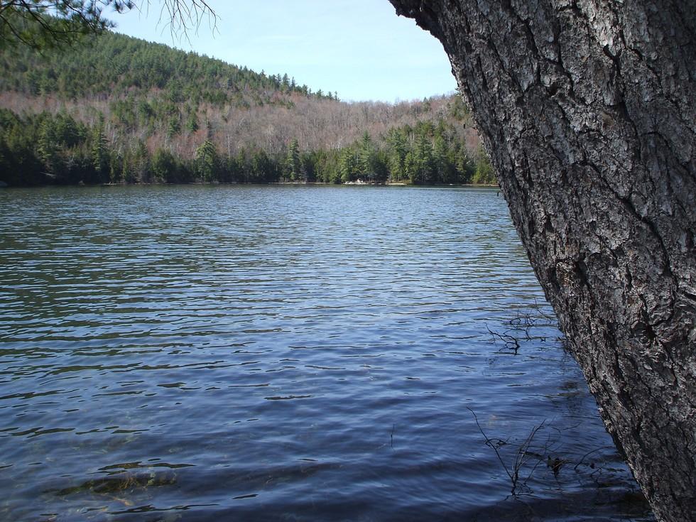 Clear Pond is a beautiful pond in a wilderness setting.