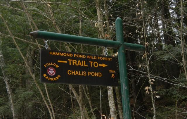 Challis Pond trail sign