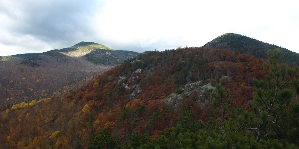 Enjoy the rich play of color even in the late fall.