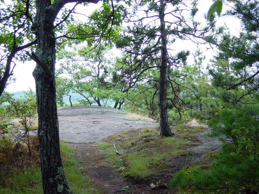 The view starts opening up on the viewing ledge for Blueberry Cobbles.