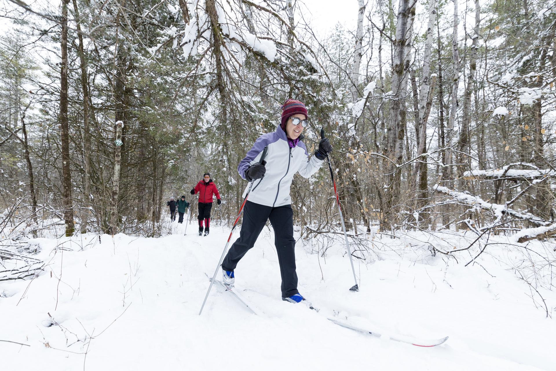 A group of people ski through the woods