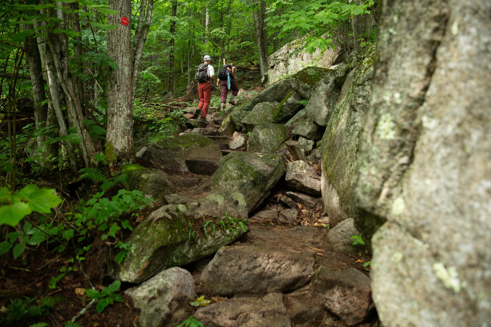 A new hiking trail with some hikers