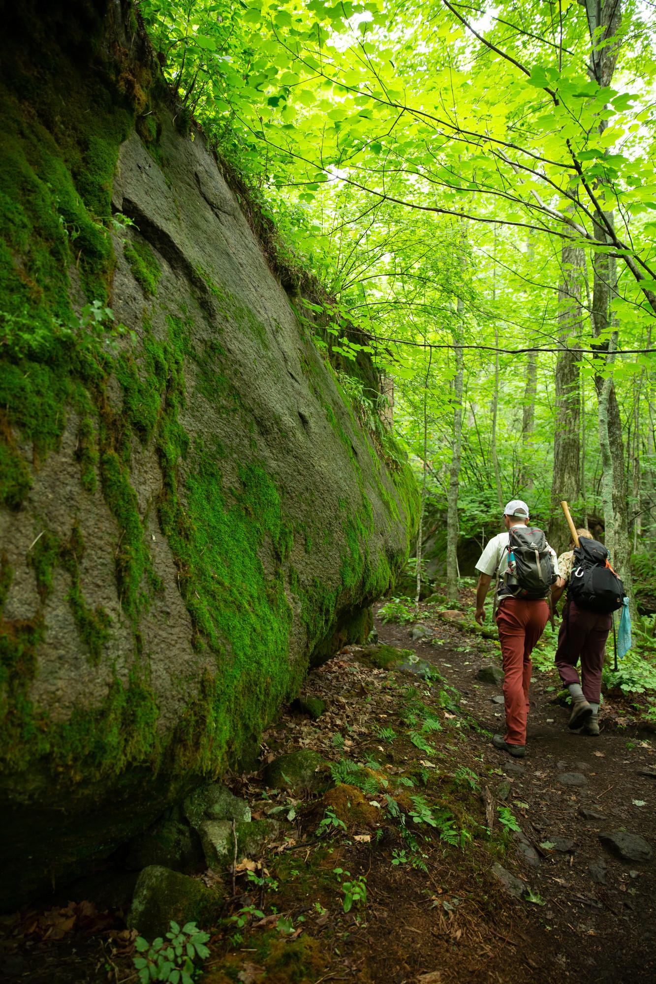 Trail crew workers hike the trail.