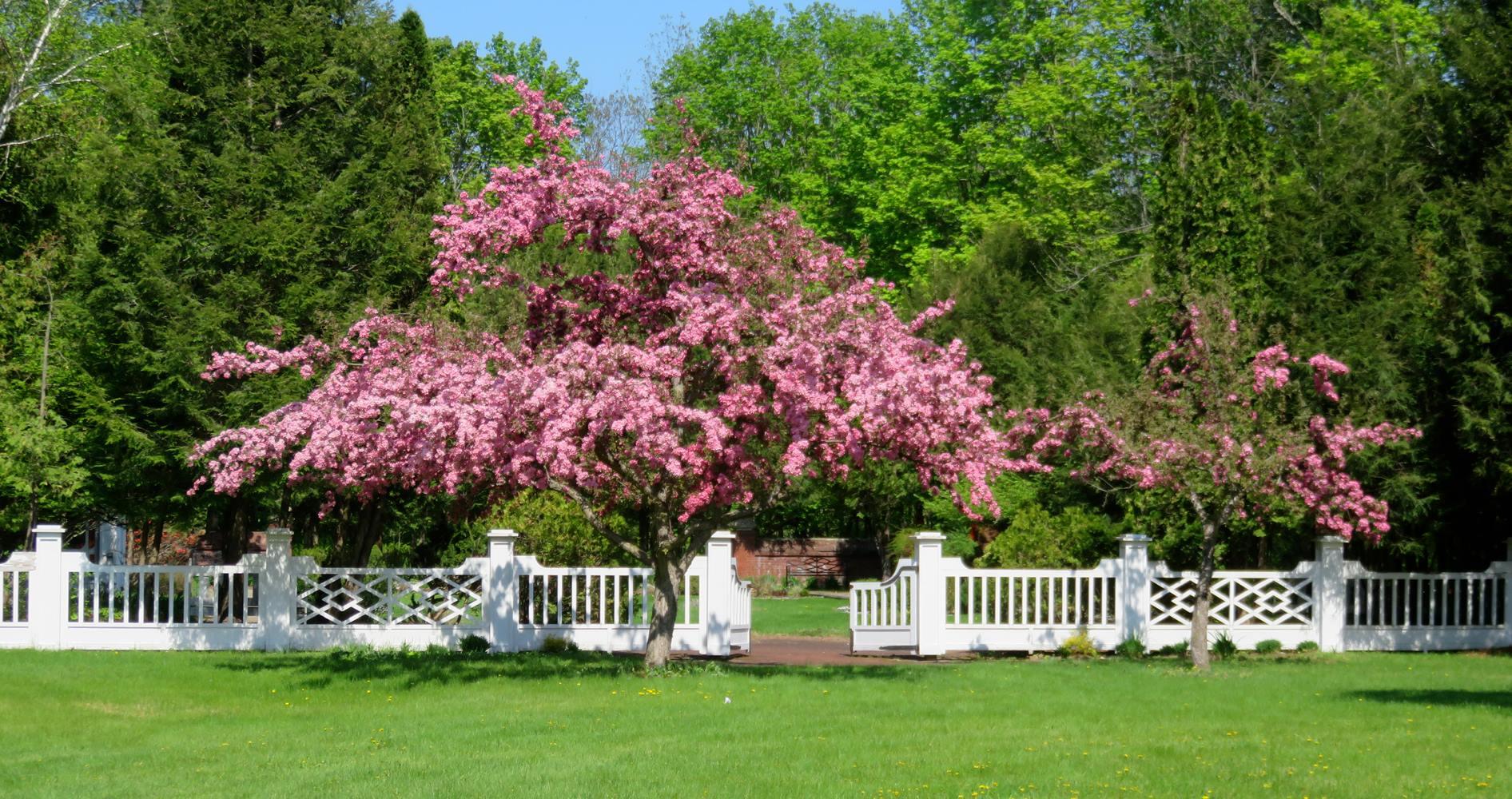 The beautiful Colonial Garden makes for a lovely backdrop in three different seasons.