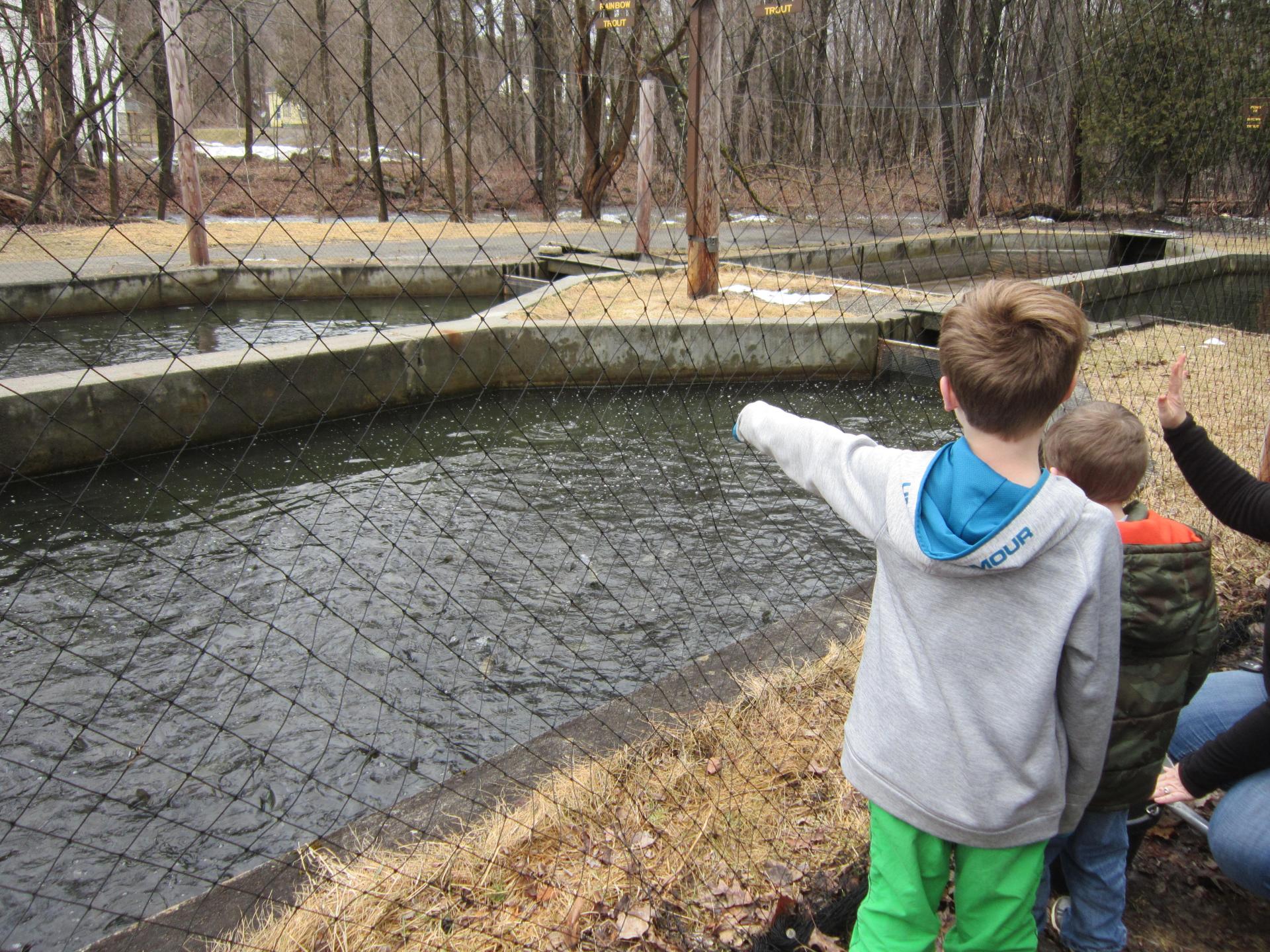 Children love to visit.