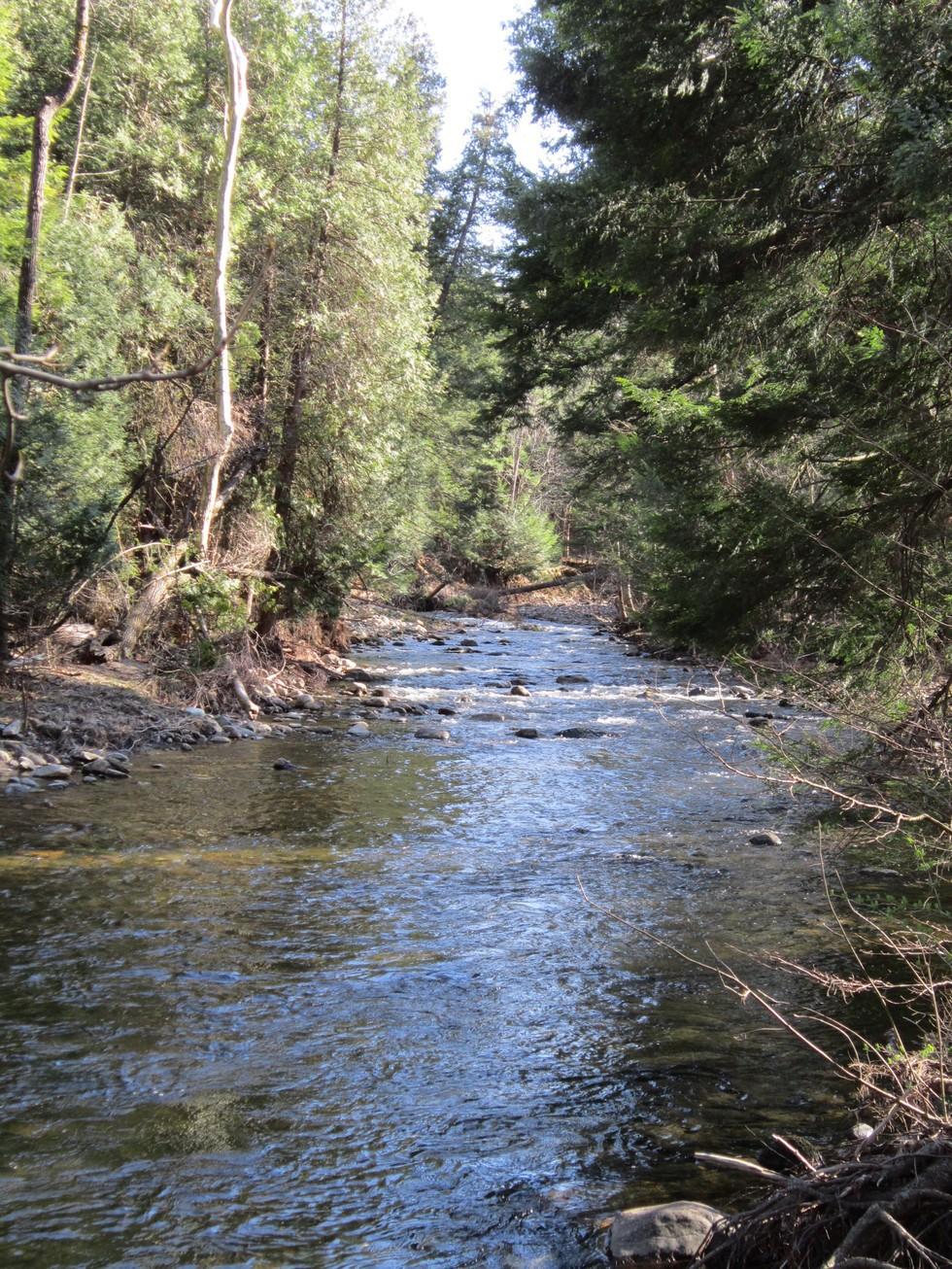 Putts Creek is part of the Lake Champlain Marshes Bird Conservation Area.