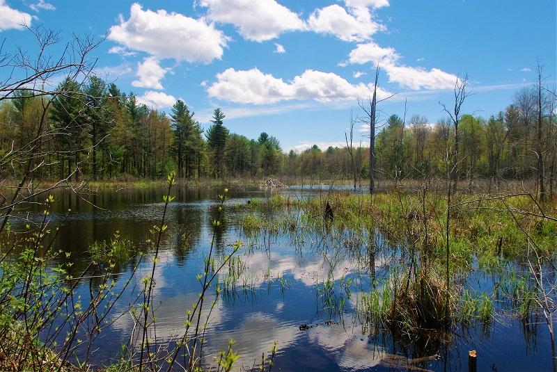 Brookfield Headwaters packs so much gorgeousness in such a small hike.